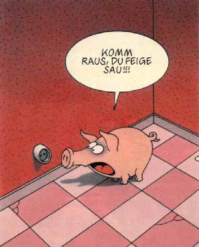 feigesau.jpg