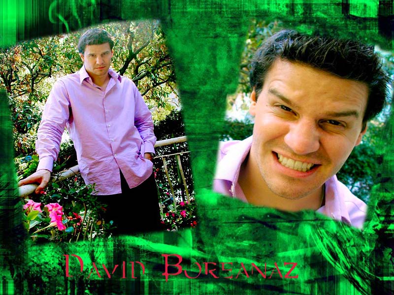 David(meins)2.jpg