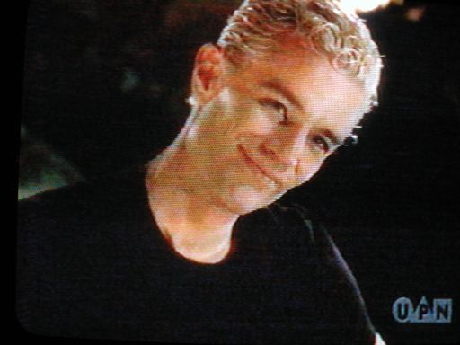 untitled6-live serial - total süss - lächelnder spike.jpg