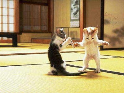 kungfu.jpg