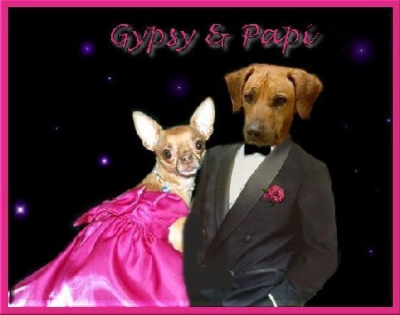gypsy_papi.jpg