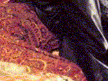 unbenannt1.gif