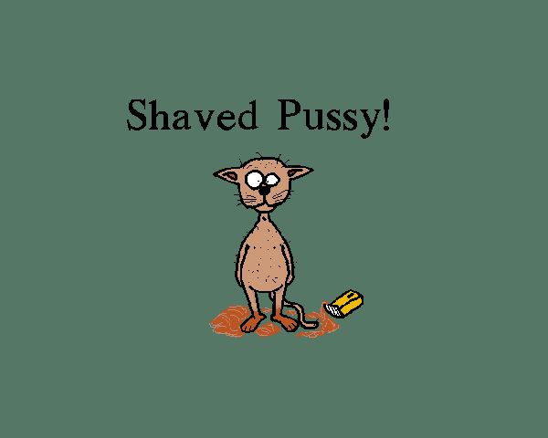 shaved pussy.jpg