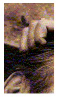 unbenannt3.gif
