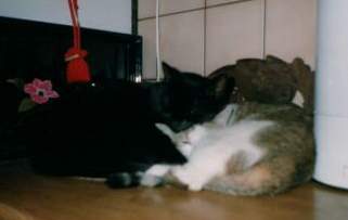 toni und maus - verkleinert.jpg