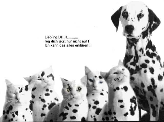 tierisch.JPG