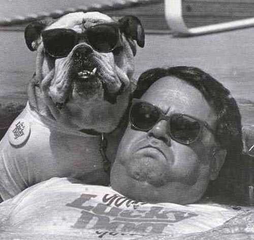 bulldog.jpg