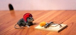 Maus.JPG