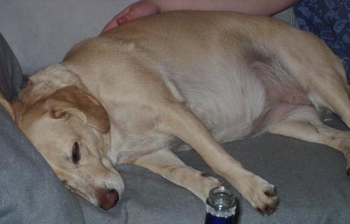 Kopie von IMGP0743.JPG