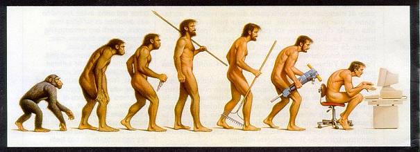 evolution.jpg
