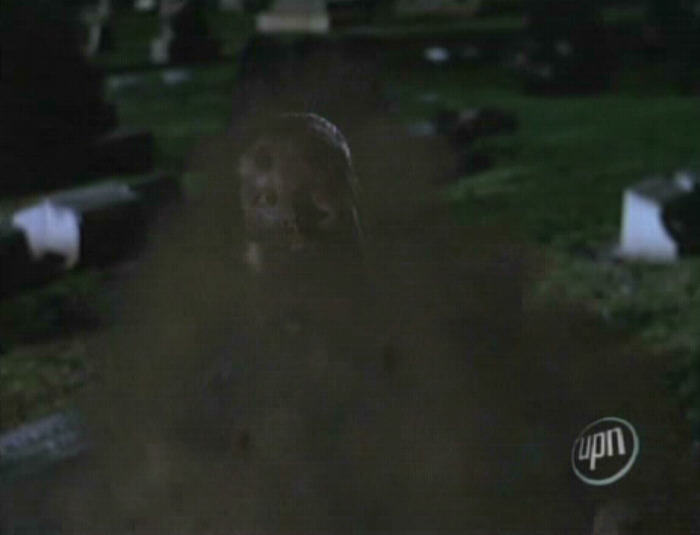 into dust.jpg