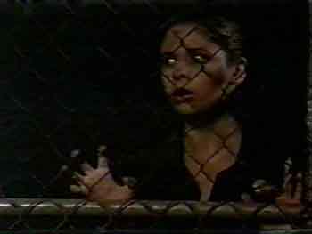 hinter gittern.jpg